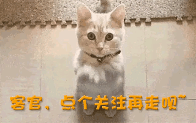 15.gif