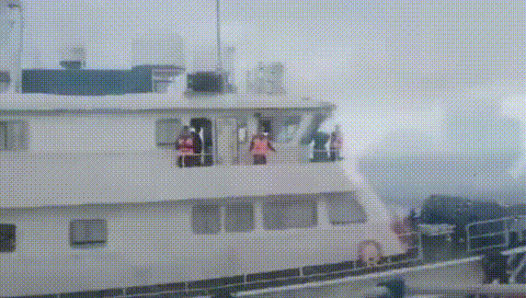 1.gif