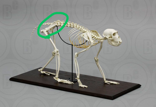 10.png