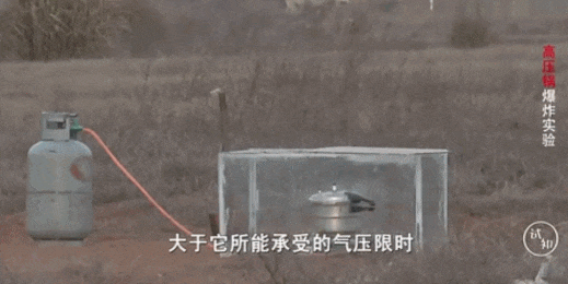 5.gif