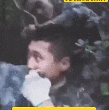 2.gif