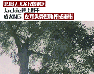 10.gif