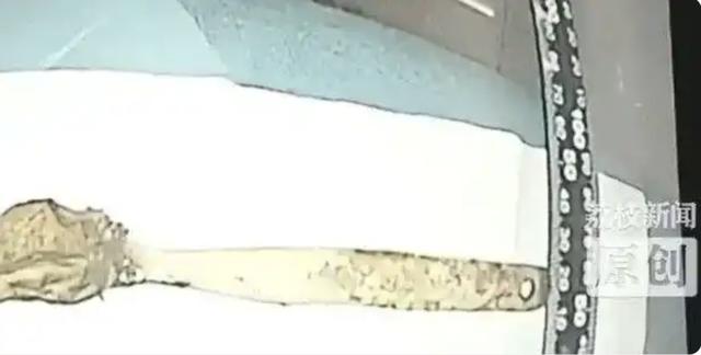 6.jpeg