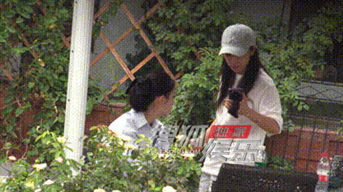8.gif