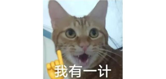 18.jpeg