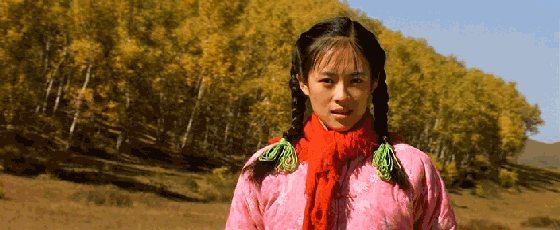 5.gif